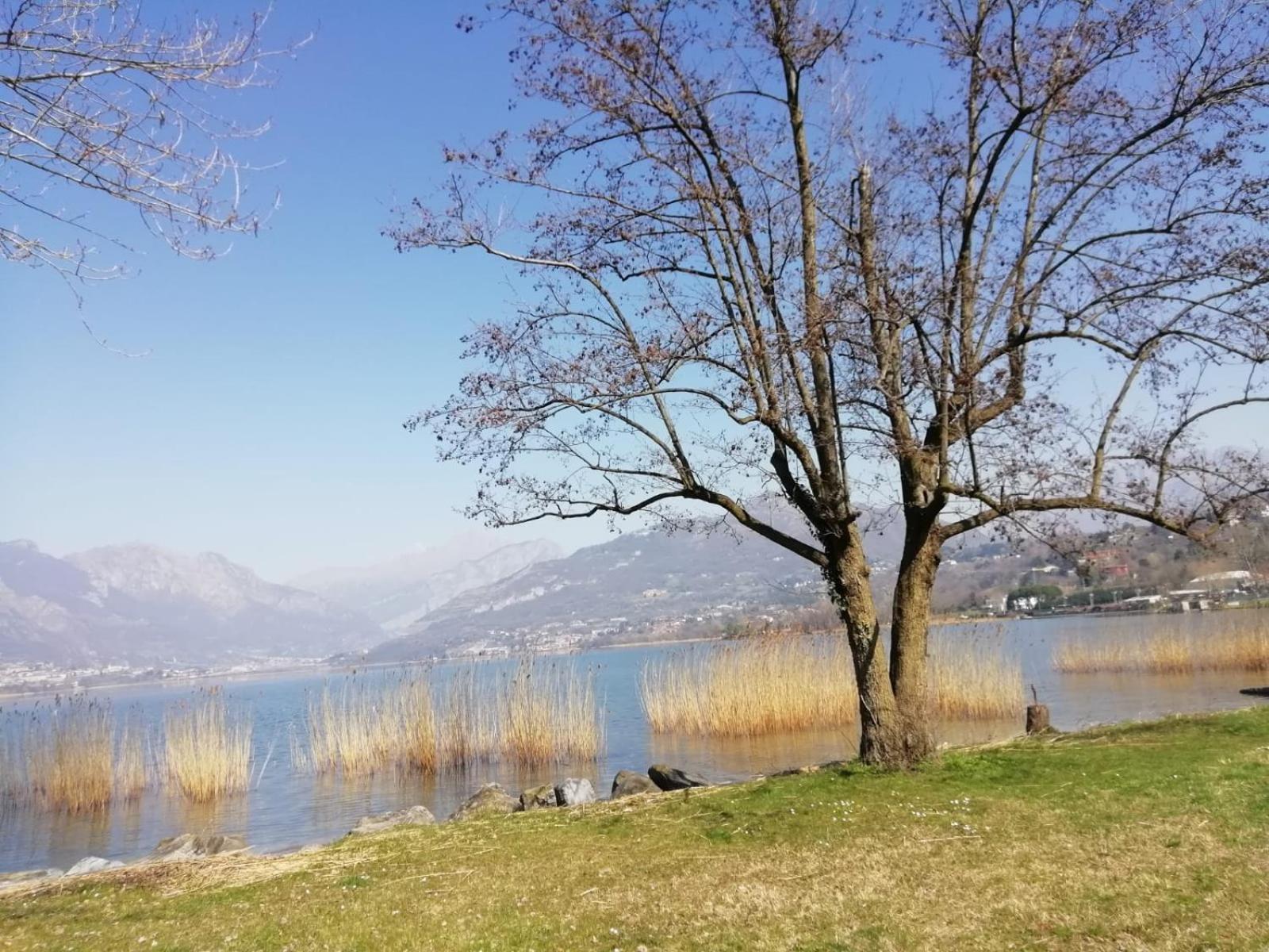 La Poesia Del Lago Oggiono Dış mekan fotoğraf